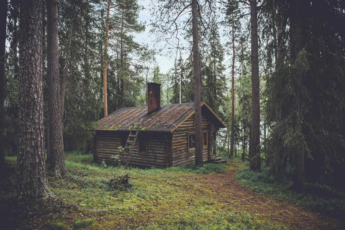 Глэмпинги Подмосковья: полный гид на 2025 год